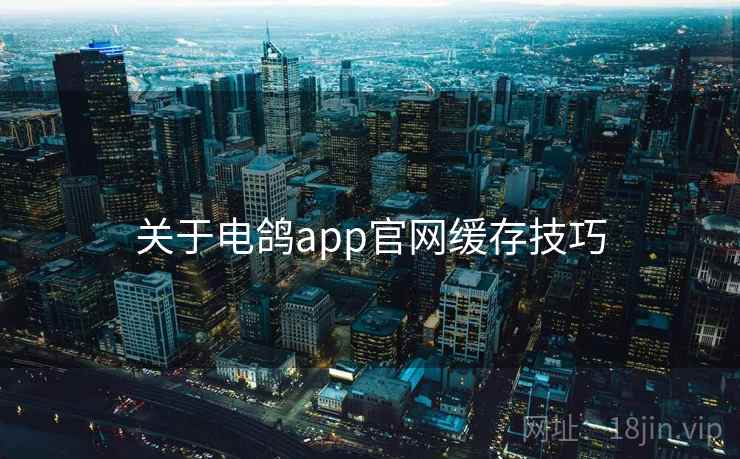关于电鸽app官网缓存技巧