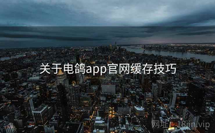 关于电鸽app官网缓存技巧