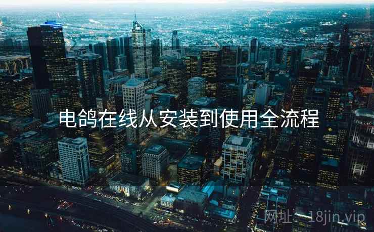 电鸽在线从安装到使用全流程
