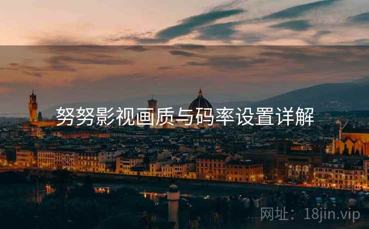 努努影视画质与码率设置详解