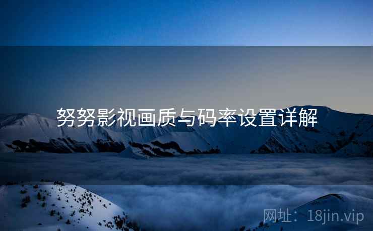 努努影视画质与码率设置详解