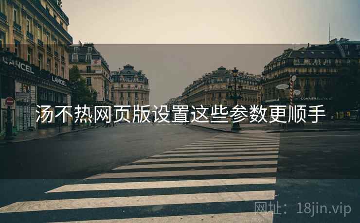 汤不热网页版设置这些参数更顺手