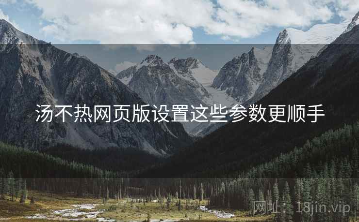 汤不热网页版设置这些参数更顺手