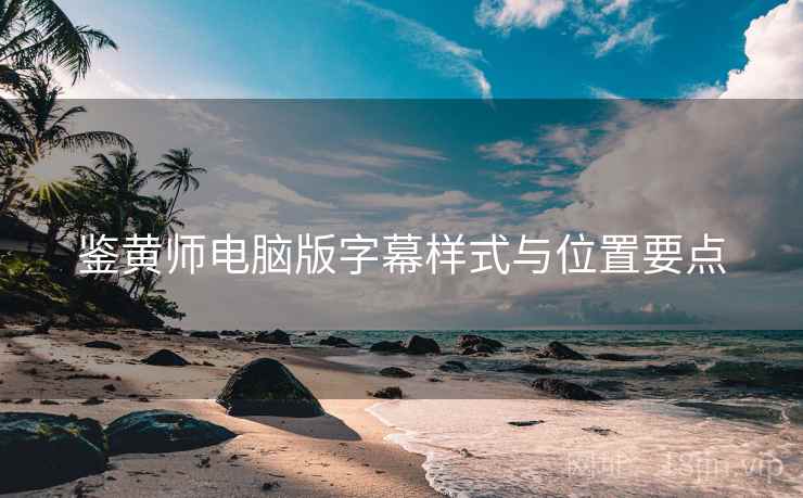 鉴黄师电脑版字幕样式与位置要点