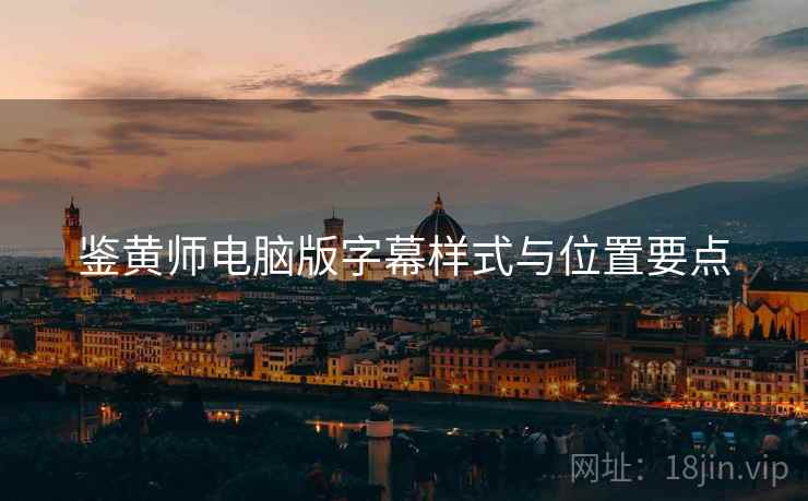 鉴黄师电脑版字幕样式与位置要点