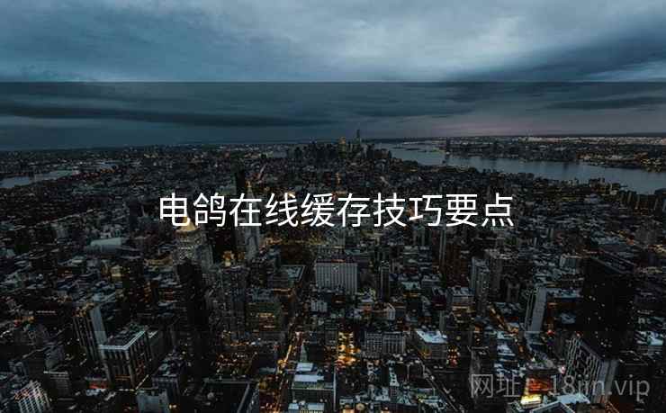 电鸽在线缓存技巧要点