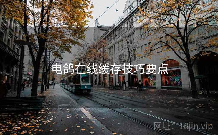 电鸽在线缓存技巧要点