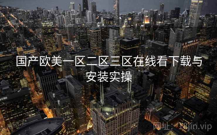 国产欧美一区二区三区在线看下载与安装实操
