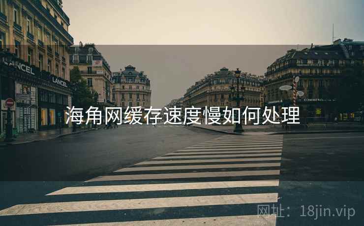 海角网缓存速度慢如何处理