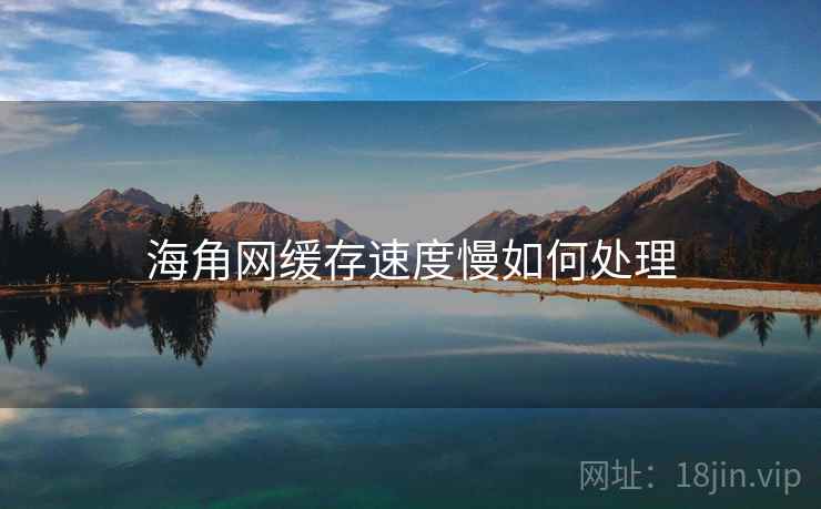 海角网缓存速度慢如何处理