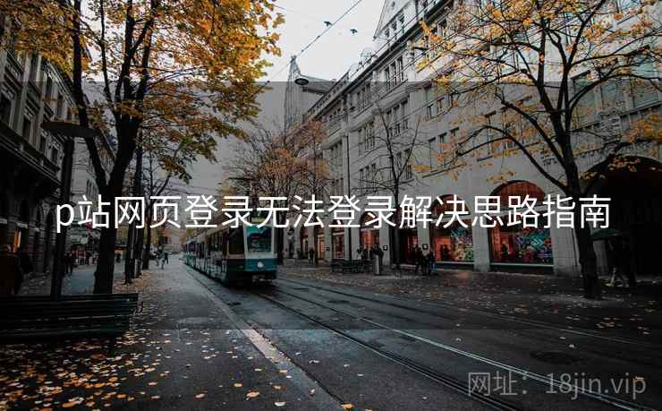 p站网页登录无法登录解决思路指南
