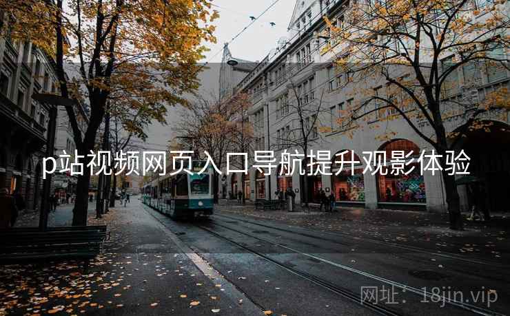 p站视频网页入口导航提升观影体验