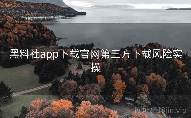 黑料社app下载官网第三方下载风险实操