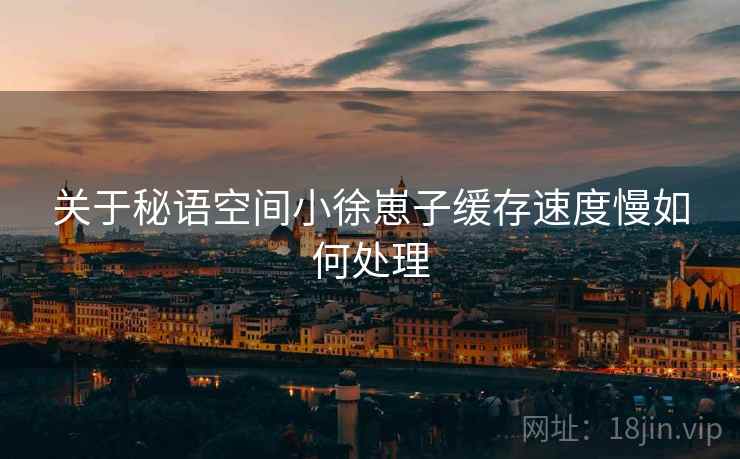 关于秘语空间小徐崽子缓存速度慢如何处理