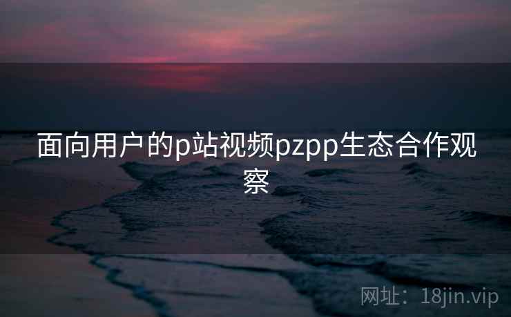 面向用户的p站视频pzpp生态合作观察