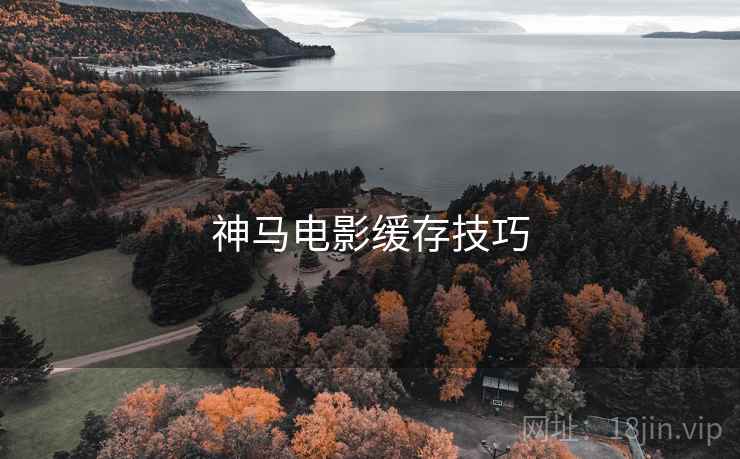 神马电影缓存技巧