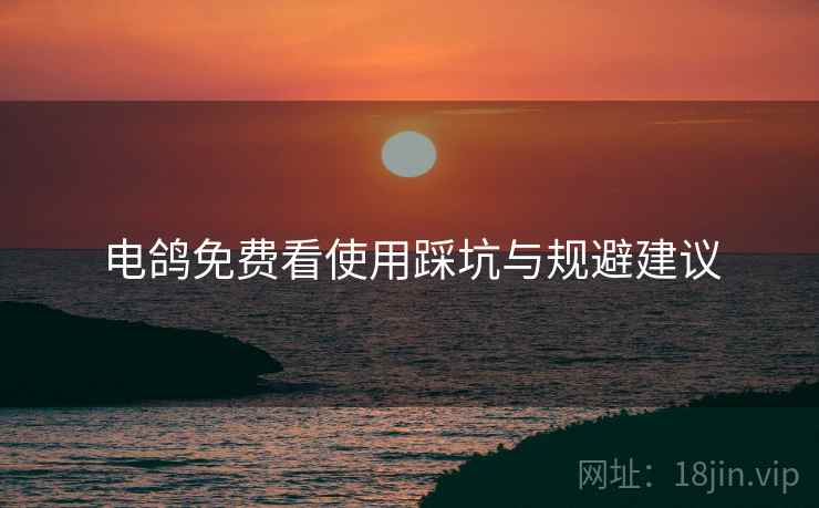 电鸽免费看使用踩坑与规避建议