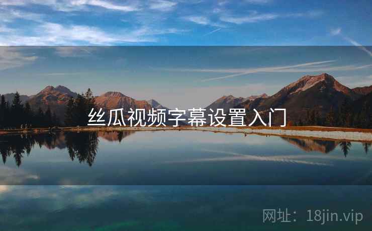 丝瓜视频字幕设置入门