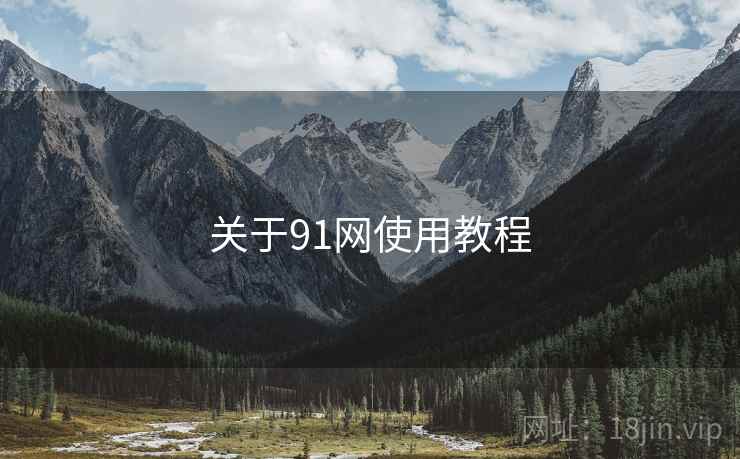 关于91网使用教程