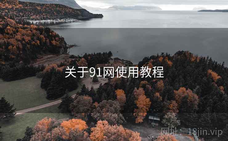 关于91网使用教程