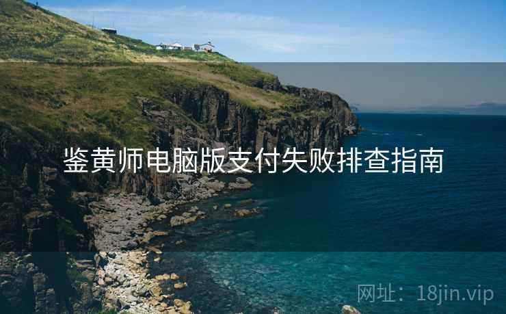 鉴黄师电脑版支付失败排查指南